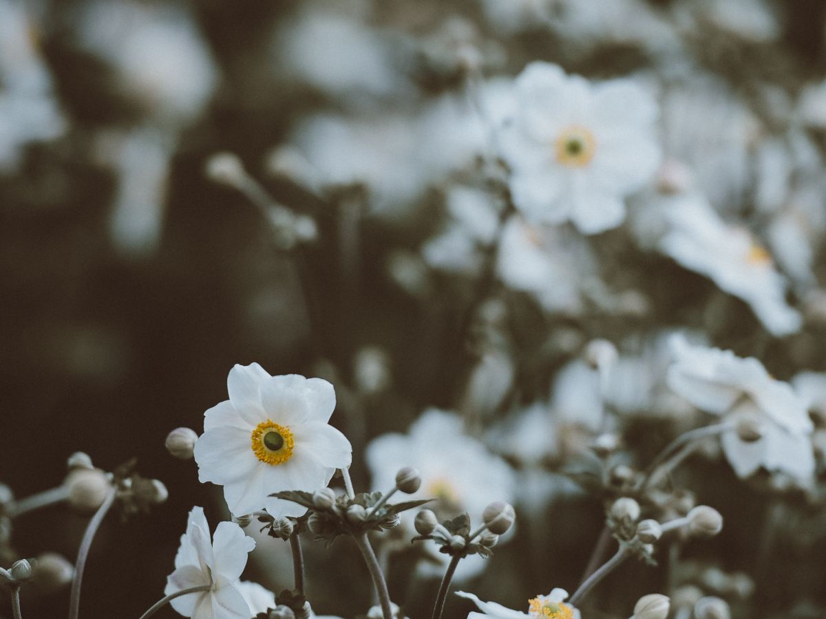 I see my mother in&nbsp;me